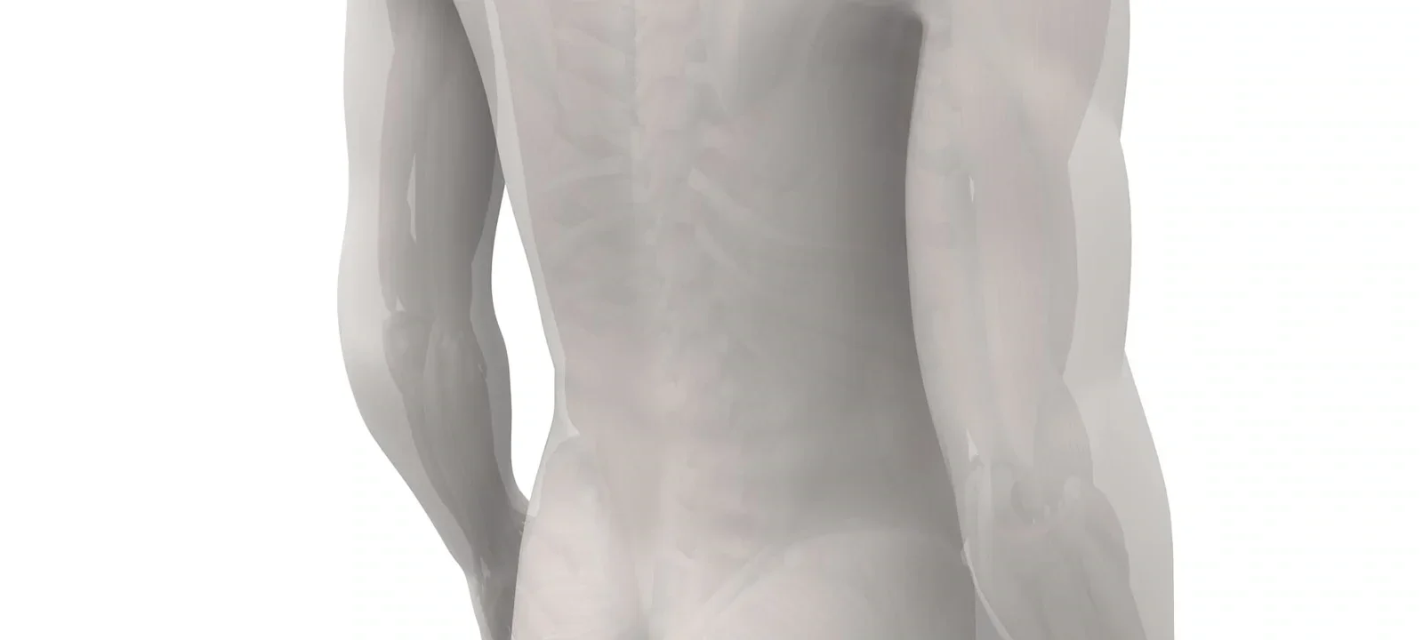 Yetişkinlerde Tortikolis: Gövde ve sırt-omurga bölgesinin üç boyutlu anatomik görselleştirmesi